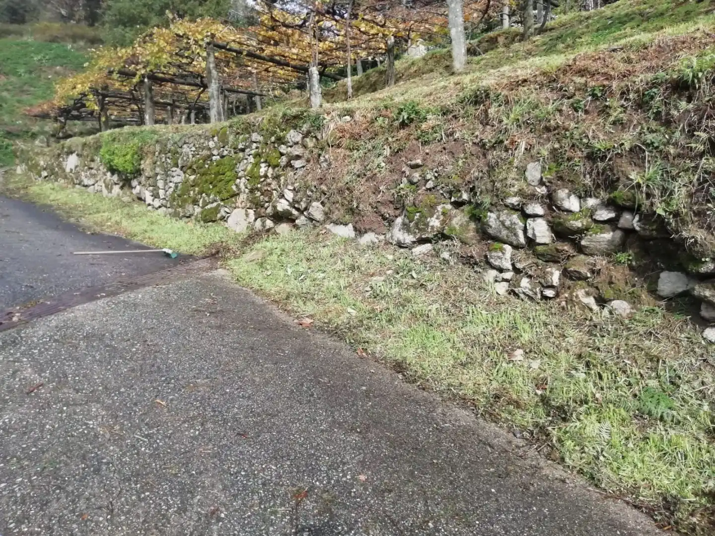 Vista exterior de Terreno en venta en Campo Lameiro, Pontevedra