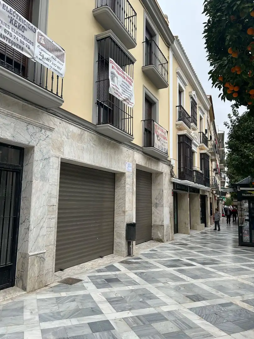 Local comercial en alquiler en Centro, imagen 20