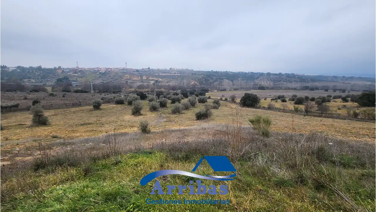 Country homes for sale in Escalona
