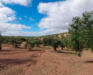 Oficina en venda en Torredonjimeno