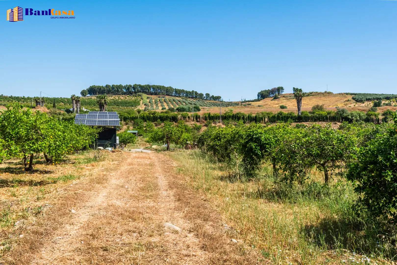 Terreno en venta en Pizarra