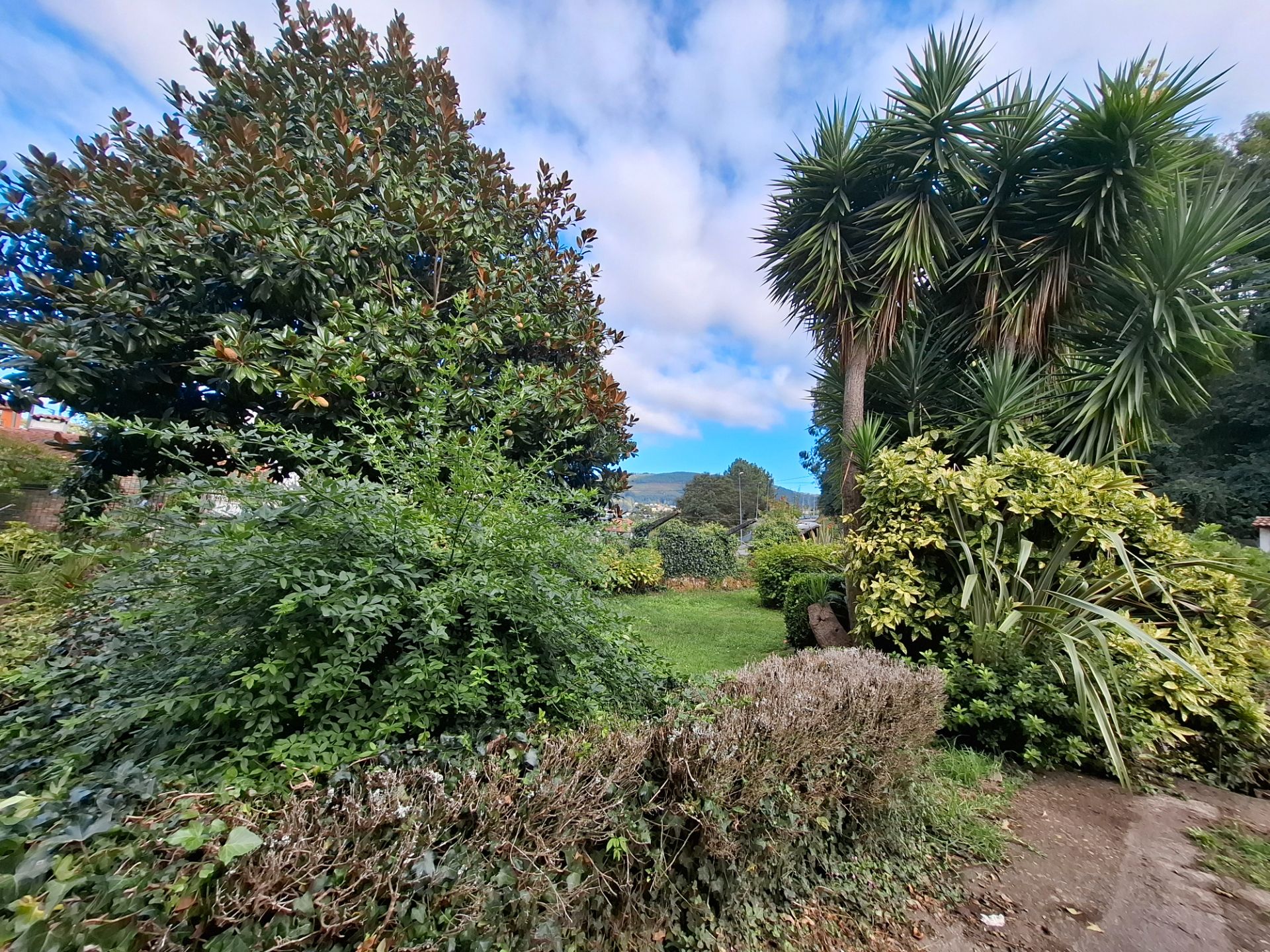 Garden of Single-family semi-detached for sale in Vigo   with Private garden, Terrace and Storage room
