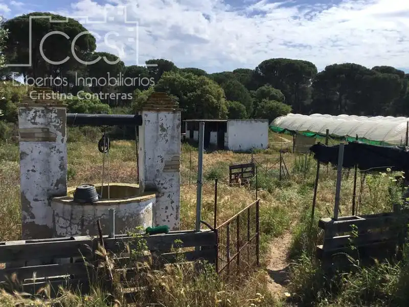 Finca rústica en venda en Almonte amb Terrassa i Moblat