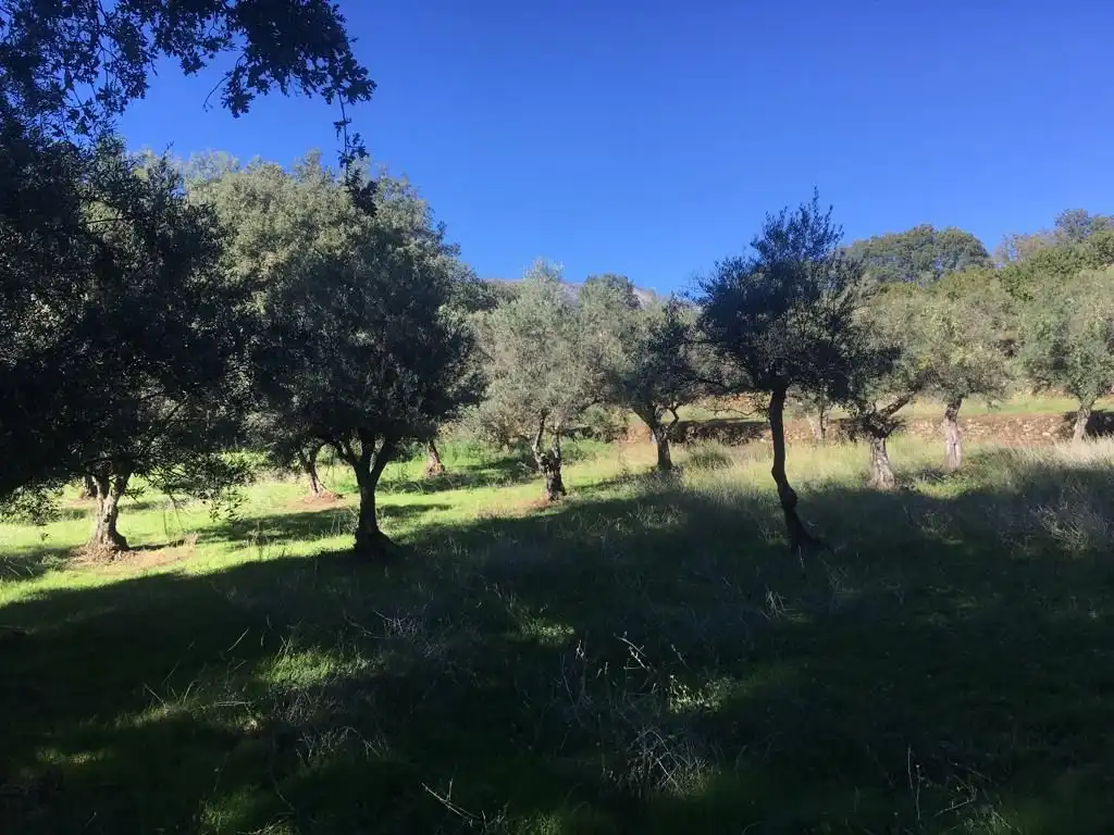 Terreni e lotti in vendita a Jarandilla de la Vera, imagen 9