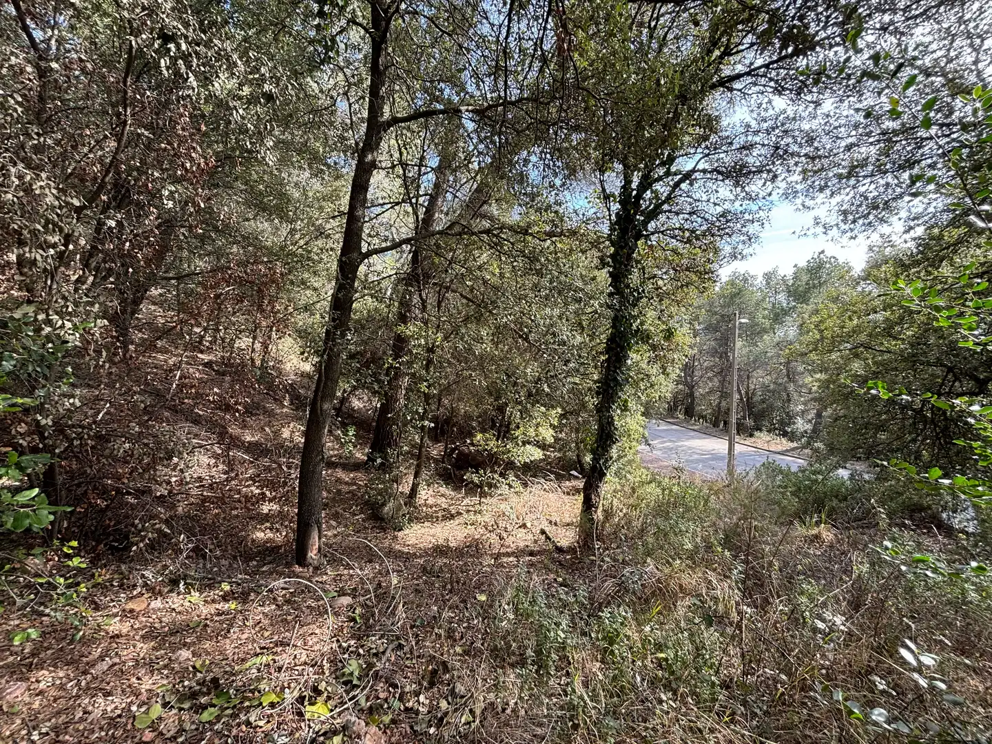 Terrain résidentiel à vendre à moliner 35, imagen 19
