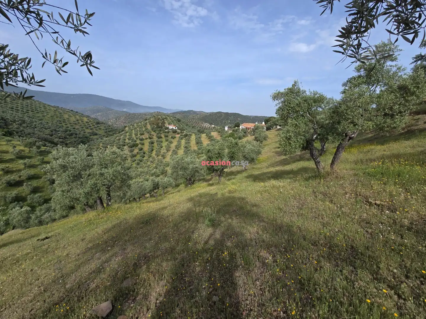 Finca rústica en venta en Pozoblanco