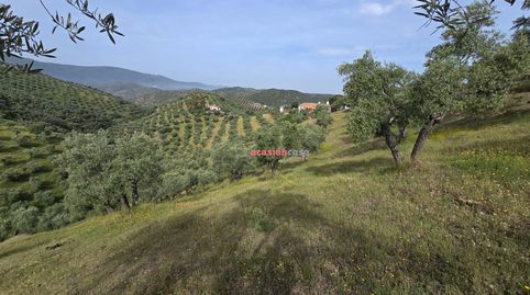 Foto 4 de Finca rústica en venta en Pozoblanco, Córdoba
