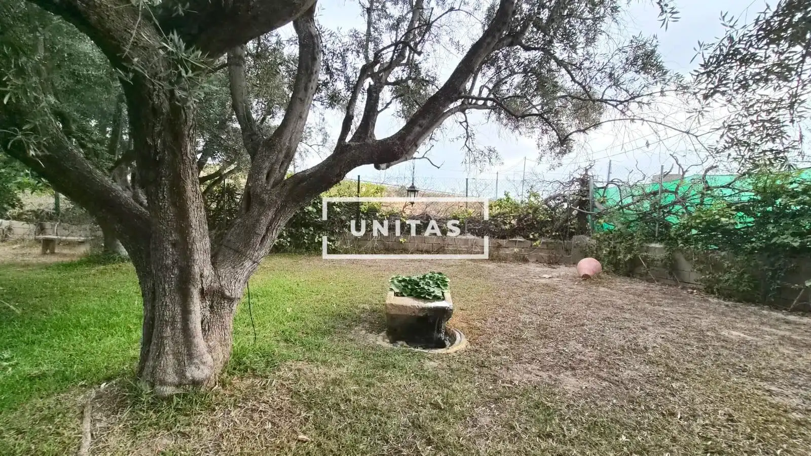 Casa o chalet en venta en Carretera MORALET, Cañada del Fenollar