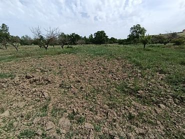 Terreno rustico in vendita a Benavente
