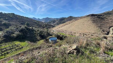 Foto 3 de Terreno en venta en Porrera, Tarragona