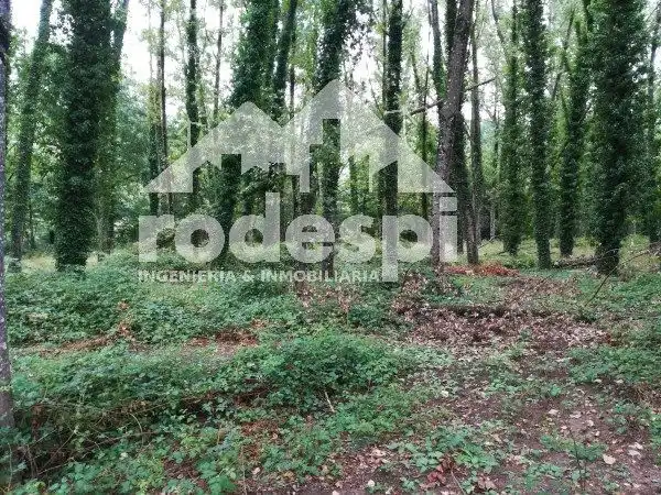 Terreny rústic en venda a Leiro, imagen 4