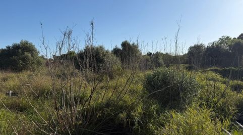 Foto 5 de Residencial en venta en La Soledad, Chiclana de la Frontera