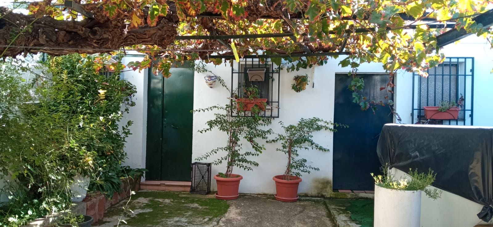 Jardí de Casa o xalet en venda en Cabra amb Moblat