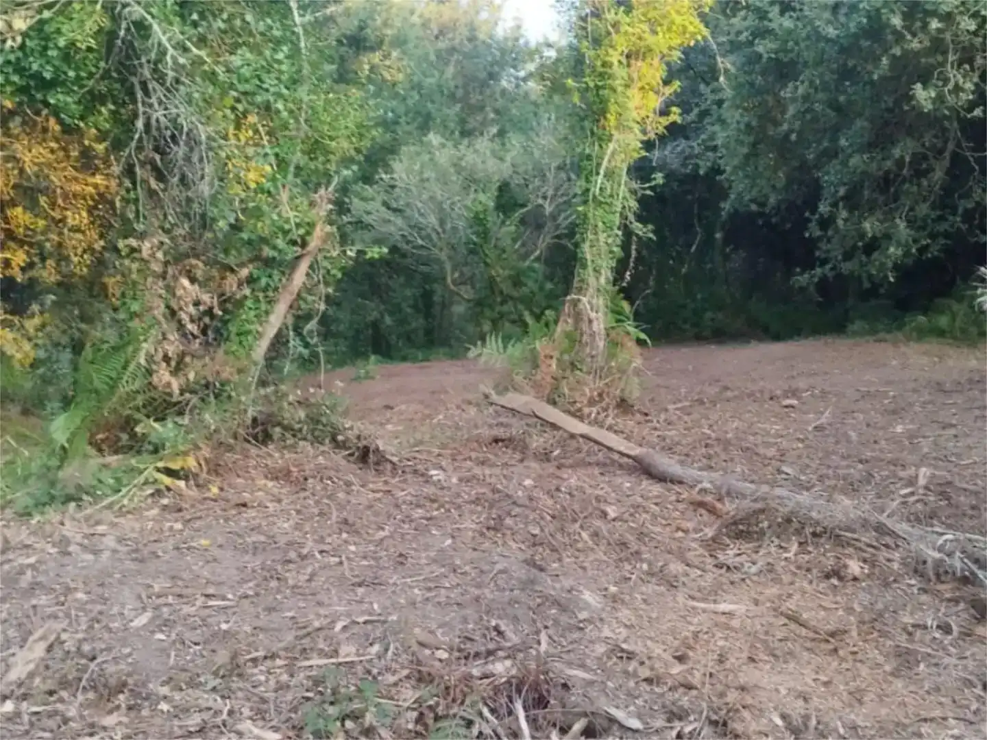 Casa o chalet en venta en Vilarmaior