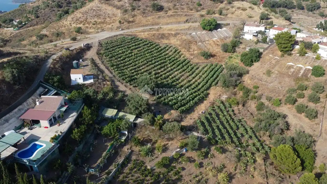 Terreny rústic en venda a Vélez-Málaga ciudad, imagen 2