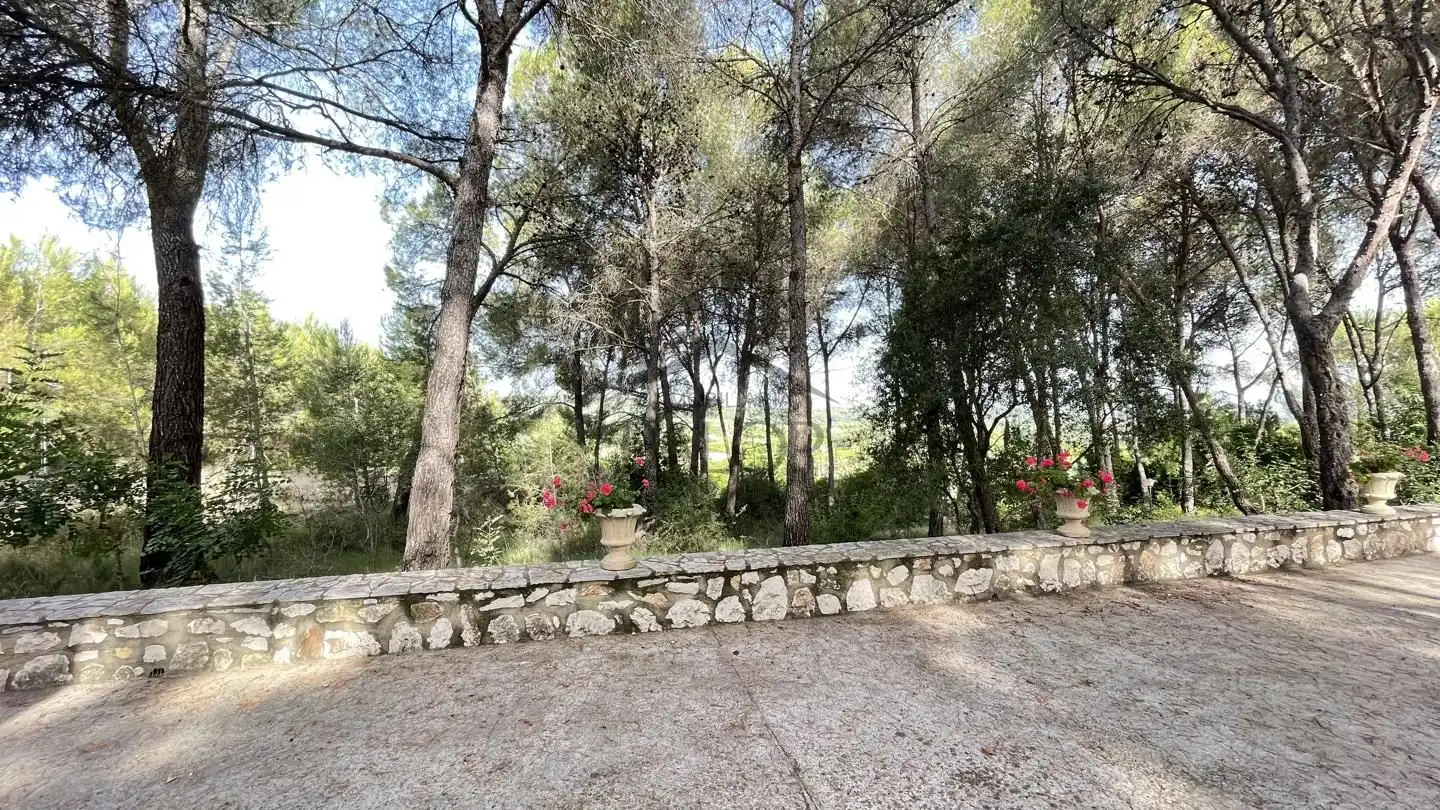 Jardín de Finca rústica en venta en Carcaixent con Jardín privado, Terraza y Trastero