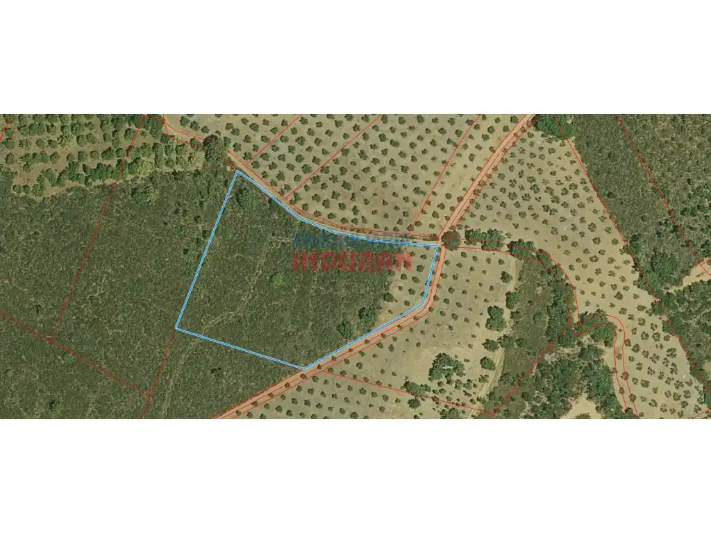 Country house for sale in Castañar de Ibor, imagen 2