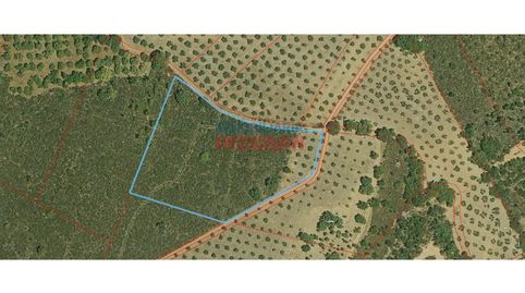 Foto 2 de Finca rústica en venta en Castañar de Ibor, Cáceres