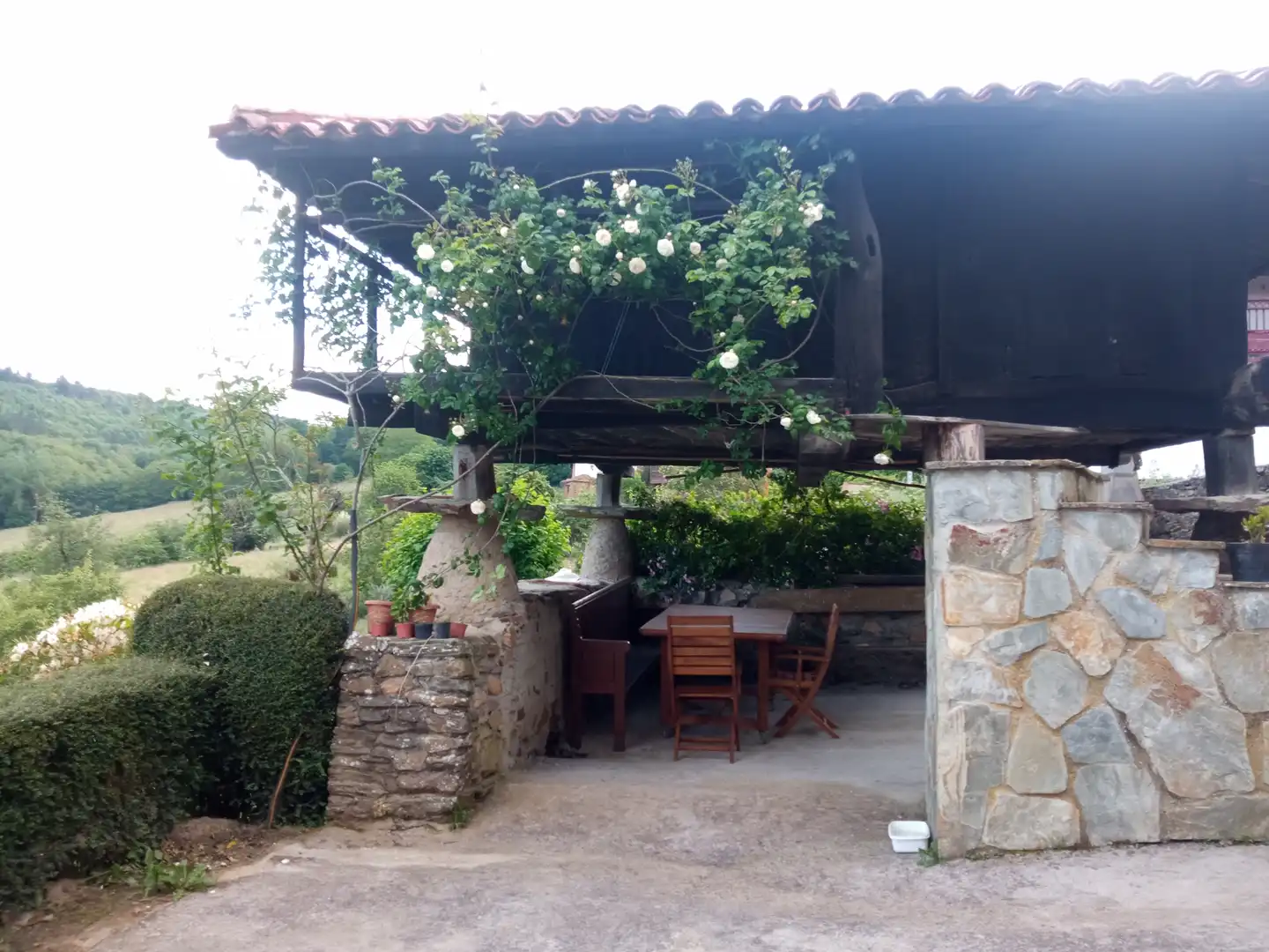 Terraza de Finca rústica en venta en Tineo con Jardín privado, Parquet y Terraza