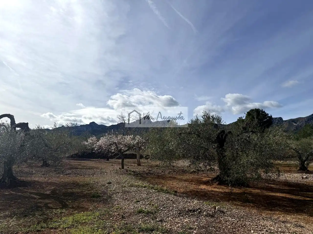 Terreno rustico in vendita a Burgà, imagen 13