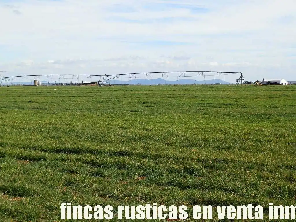 Terreny rústic en venda a Manzanares, imagen 14