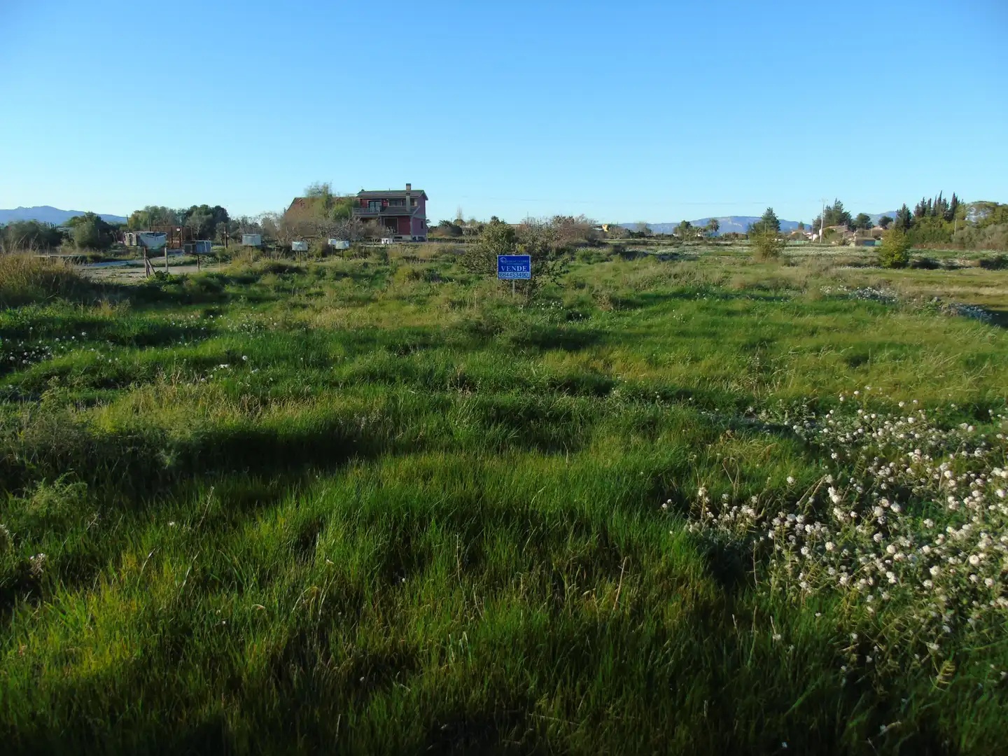 Terrenos y solares en venta en Camino Huerta De Abajo 70, imagen 4