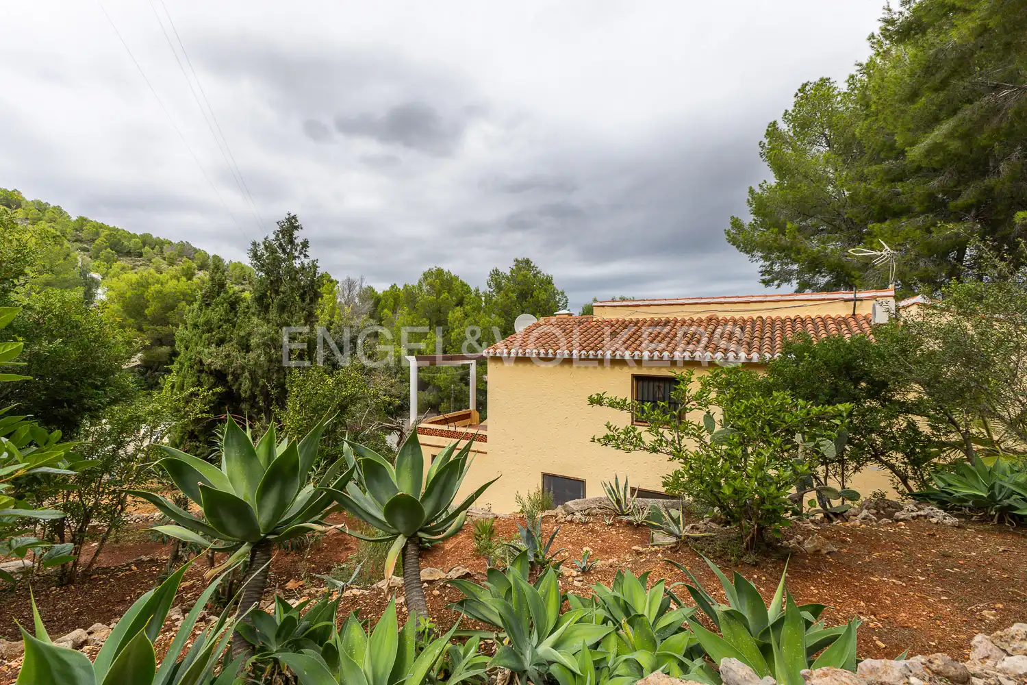 Vista exterior de Casa o chalet en venta en Pedreguer con Aire acondicionado, Calefacción y Jardín privado