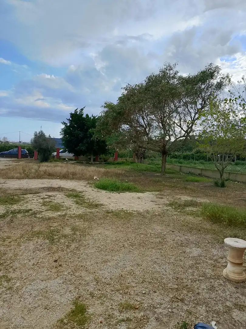 Finca rústica en venta en Daya Nueva