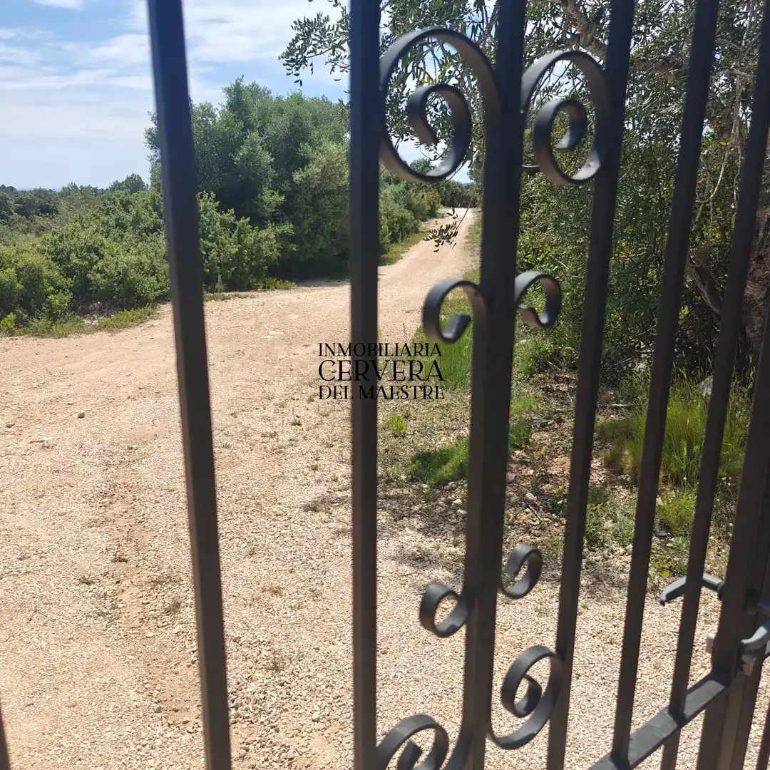 Chalet con piscina en venta en Cervera del Maestre, imagen 75