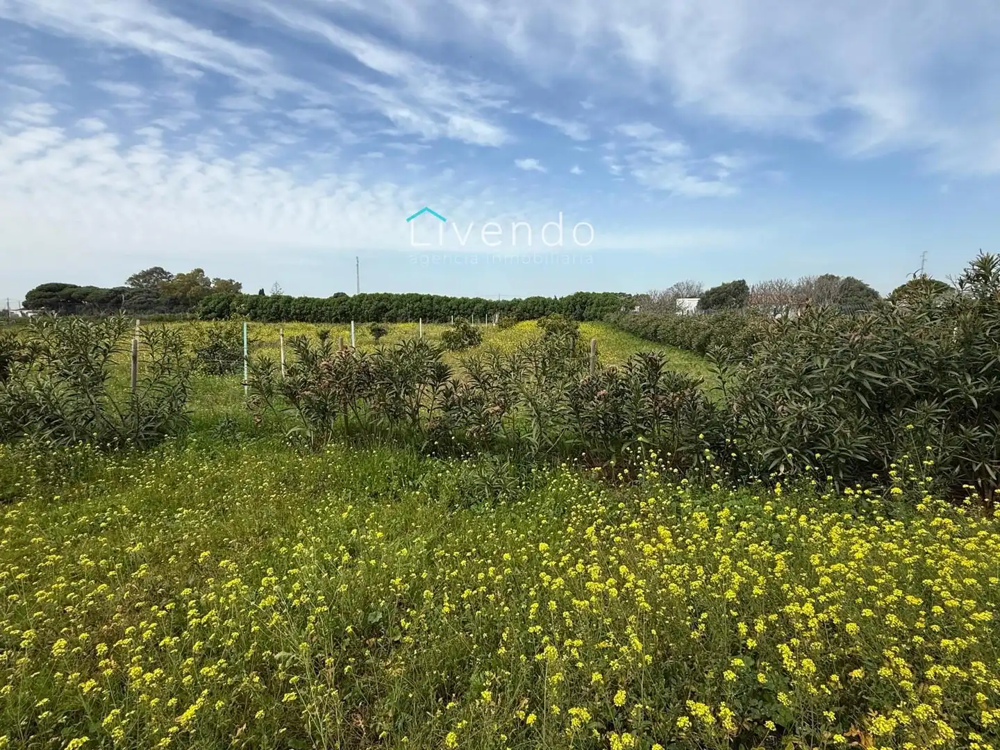 Terreno en venta en Conil de la Frontera