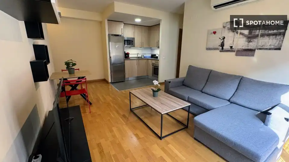 Sala d'estar de Pis de lloguer en Madrid amb Aire condicionat, Calefacció i Moblat