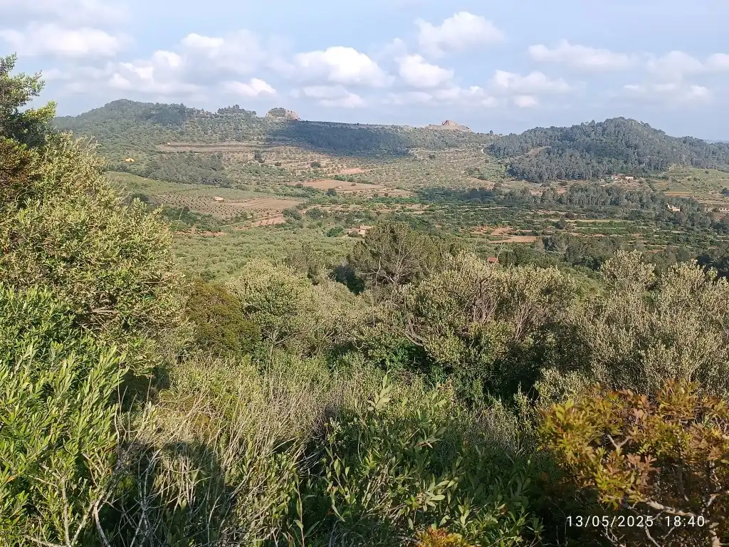 Terreno rustico in vendita a Carrer Major 1, imagen 9
