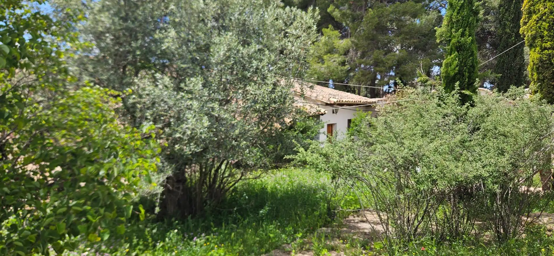 Einzigartige Immobilien zum Verkauf in Caravaca de la Cruz, imagen 56