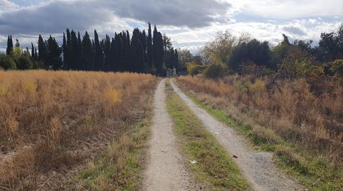 FINCA EN MARACENA, immagine 4