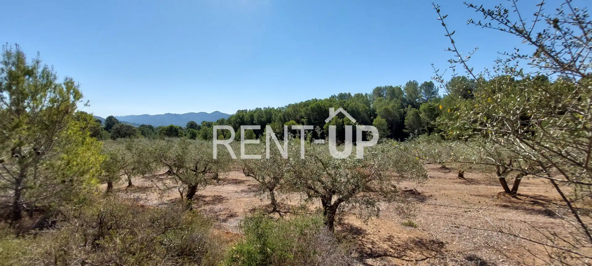 Terreny rústic en venda a Xàtiva, imagen 9