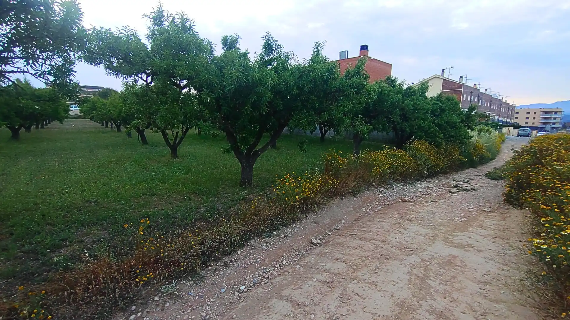 Terreno residenziale in vendita a Camino Nou, imagen 14