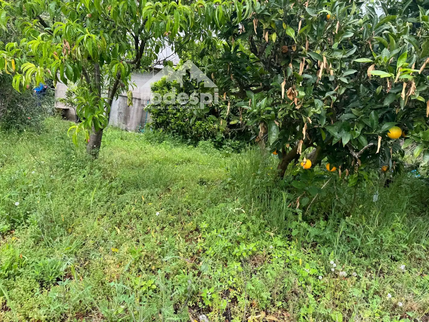 Casa o xalet en venda en Crecente amb Traster i Moblat