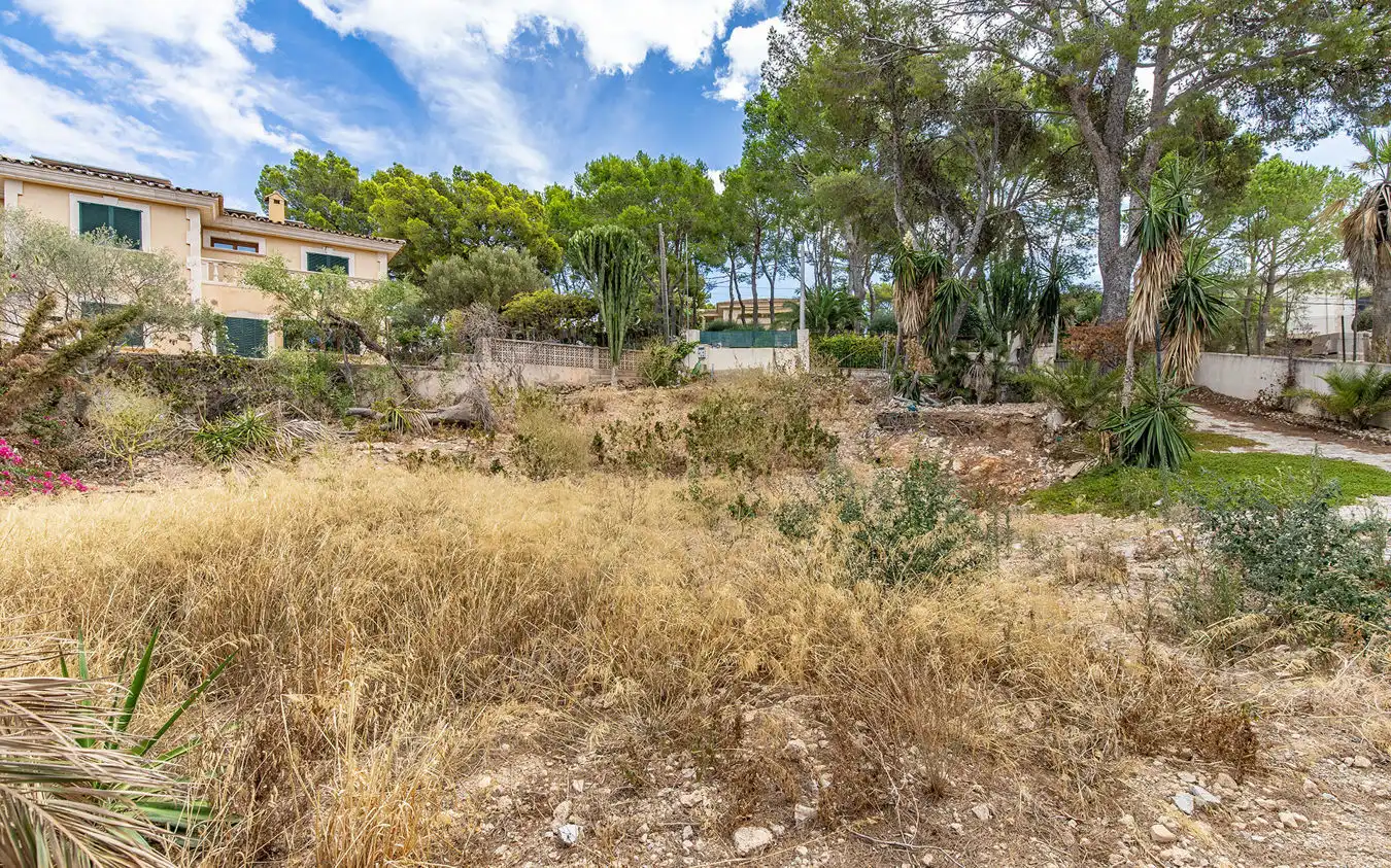 Lands and plots for sale in Portals Nous, imagen 2