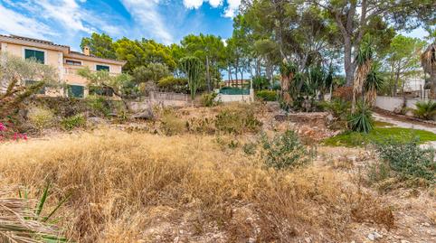 Foto 2 de Residencial en venda a Portals Nous, Illes Balears