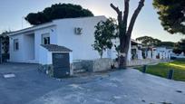 Vista exterior de Casa o xalet en venda en Chiclana de la Frontera amb Jardí privat, Terrassa i Piscina