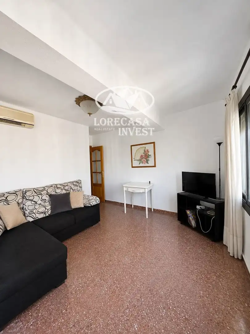 Living room of Flat for sale in  Palma de Mallorca  with Air Conditioner, Terrace and Furnished