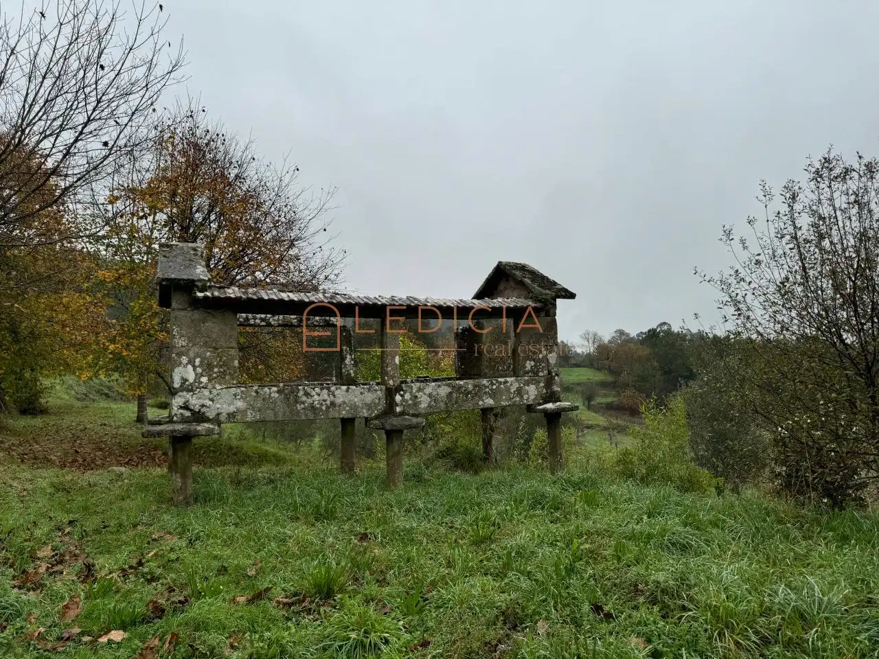 Rural land for sale in San Martiño de Verducido, imagen 13