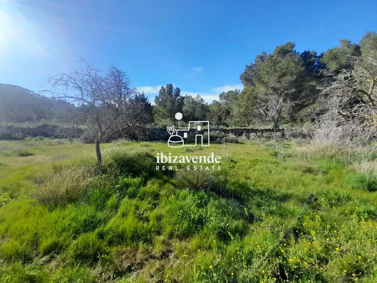 Residential for sale in Sant Agustí - Cala de Bou