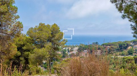 Foto 2 de Terreno en venta en Santa Cristina - Sant Francesc, Blanes