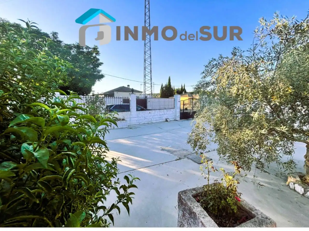 Vista exterior de Finca rústica en venda en Cabra amb Jardí privat i Piscina