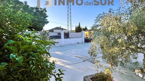 Photo 3 of Country homes for sale in Cabra, Córdoba