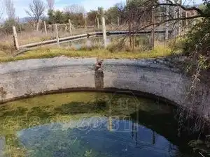 Casa con piscina en venta en Carretera de Caniles, imagen 19