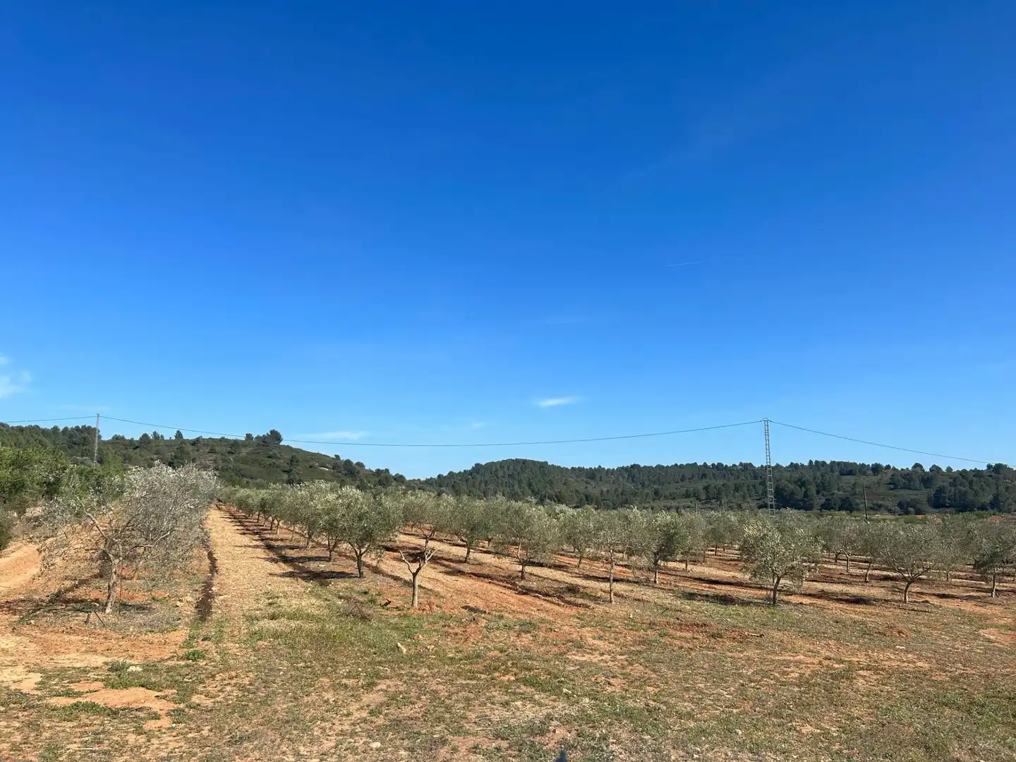 Terreno en venta en BARONA, Vall d'Alba