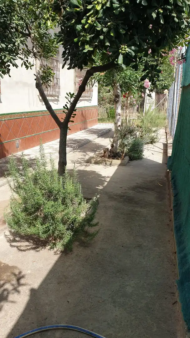 Xalet amb jardí en venda a Urbanización la Hermandad, imagen 33