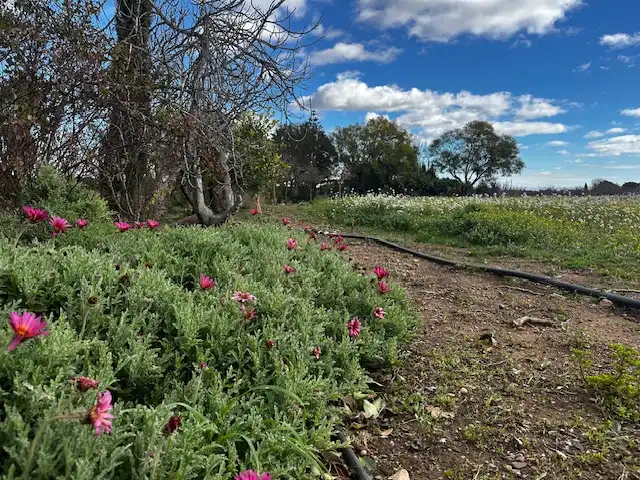 Terrenys i solars en venda a del Molí de Vent (CLOTA P45 P10), imagen 29